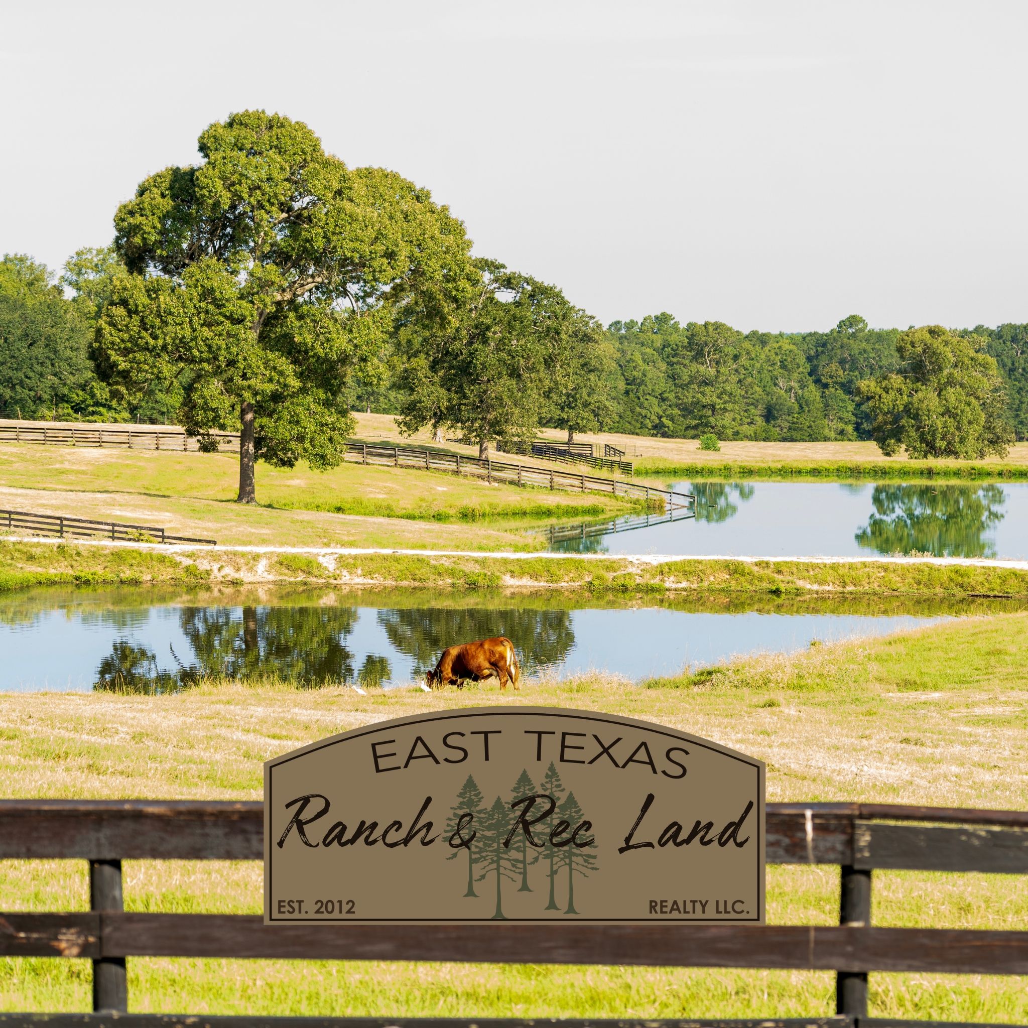 Land Listing Agent Photo