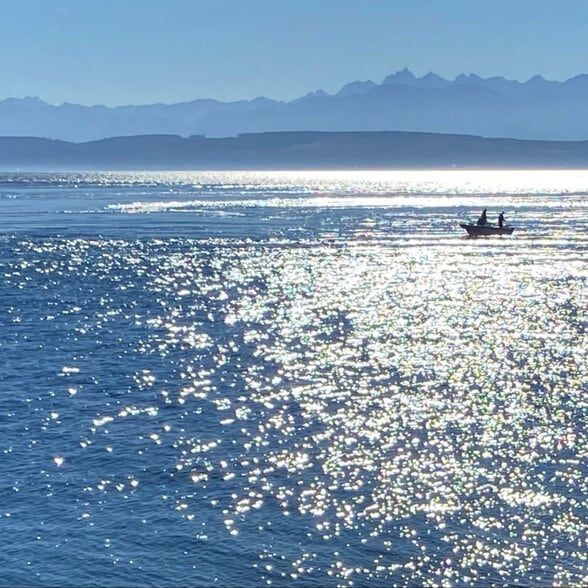 Land Listing Agent Photo