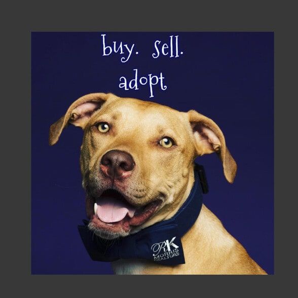 Land Listing Agent Photo