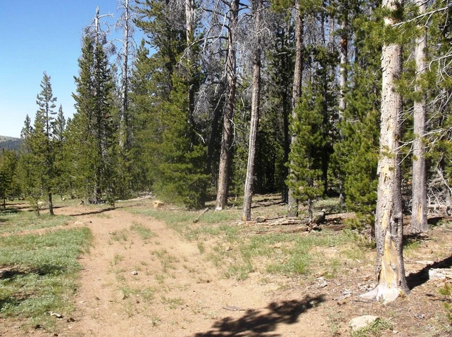 Nearby Listing Image