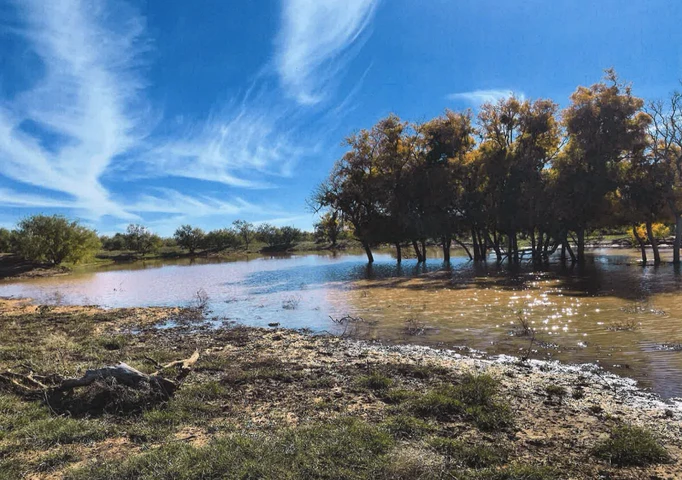 Nearby Listing Image