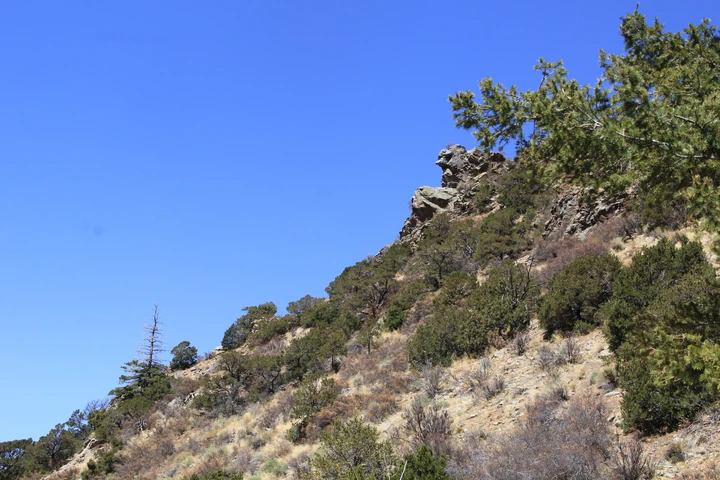 Nearby Listing Image