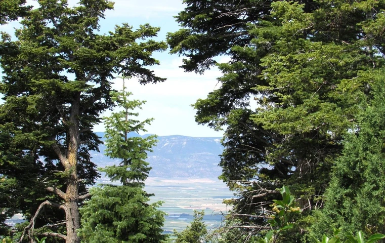 Nearby Listing Image