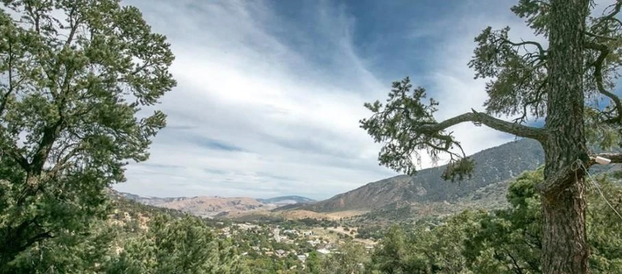 Nearby Listing Image