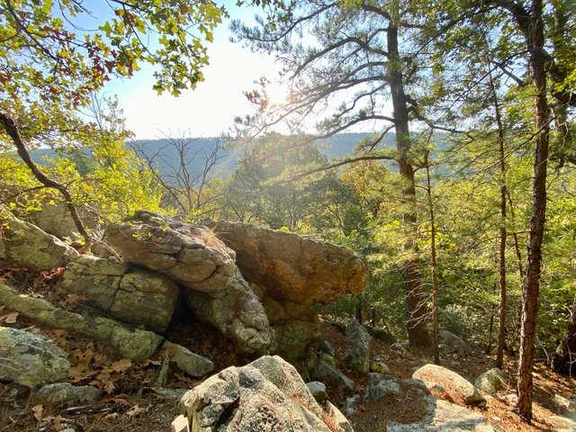 Nearby Listing Image