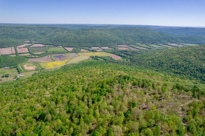 Nearby Listing Image