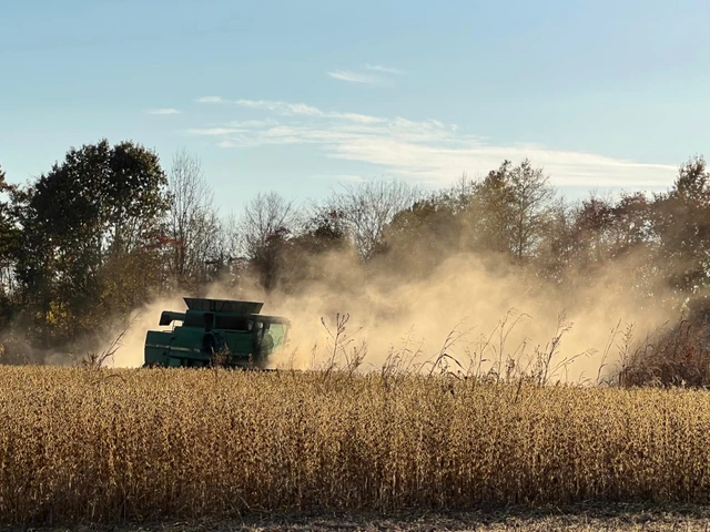 Nearby Listing Image