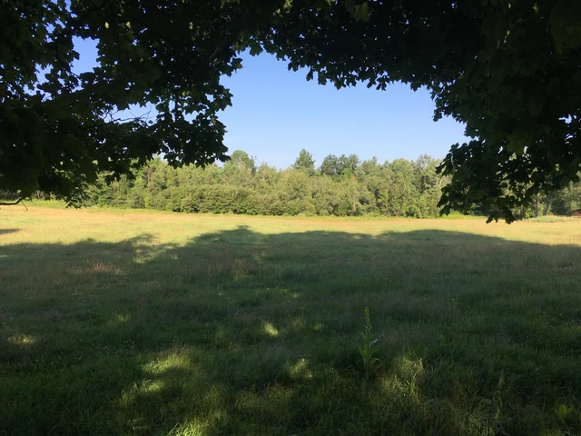 Nearby Listing Image