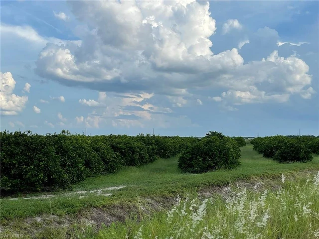 Nearby Listing Image