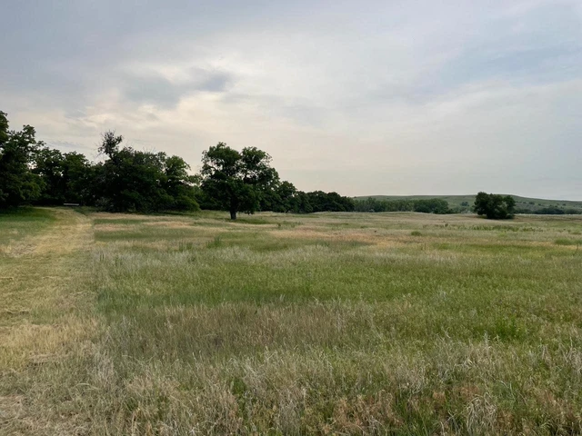 Nearby Listing Image
