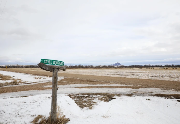 Nearby Listing Image