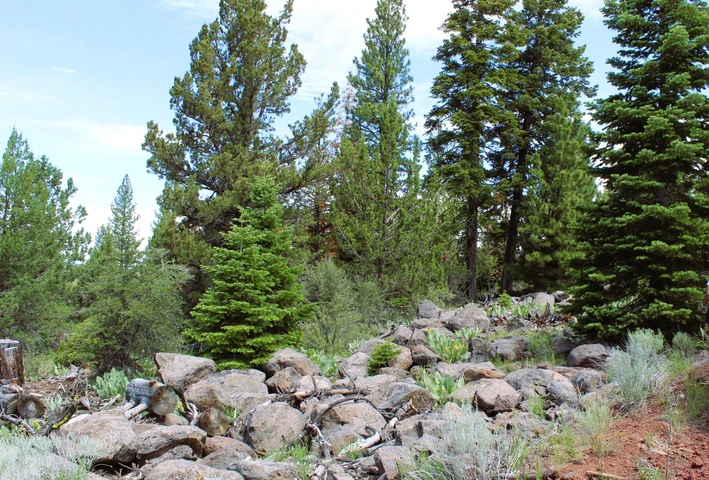 Nearby Listing Image