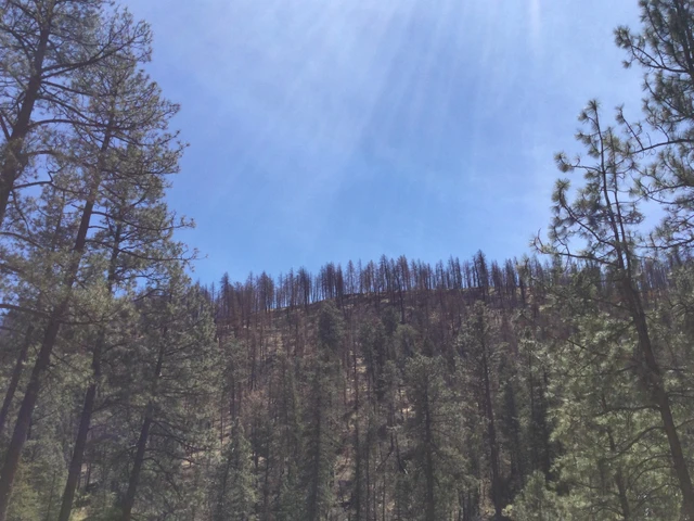 Nearby Listing Image