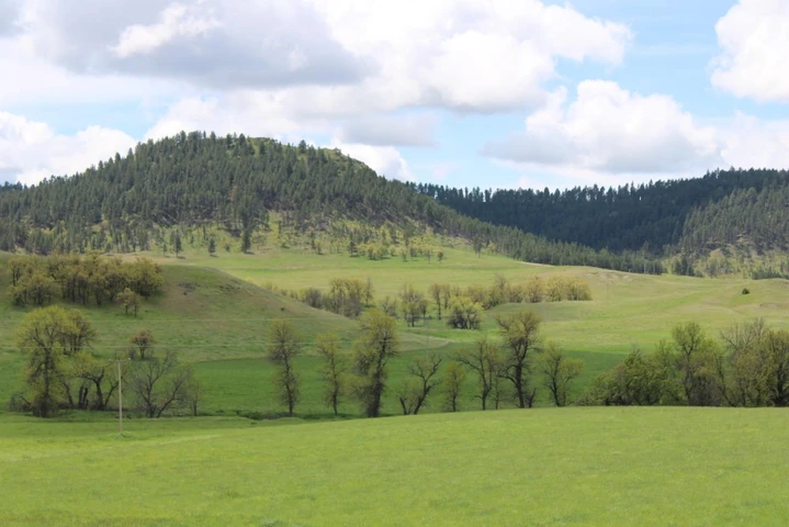 Nearby Listing Image