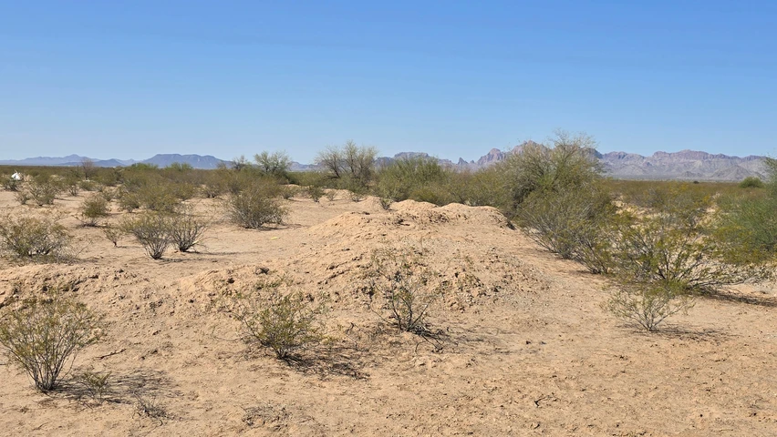 Nearby Listing Image