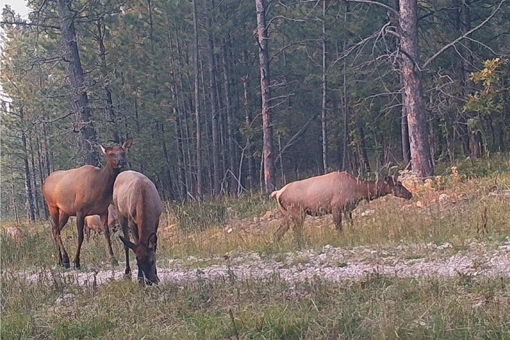 Nearby Listing Image