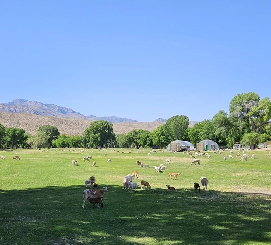 Nearby Listing Image