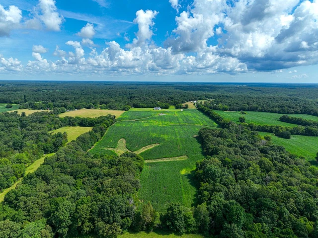 Nearby Listing Image