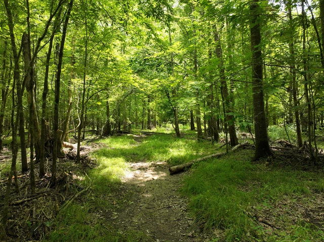 Nearby Listing Image