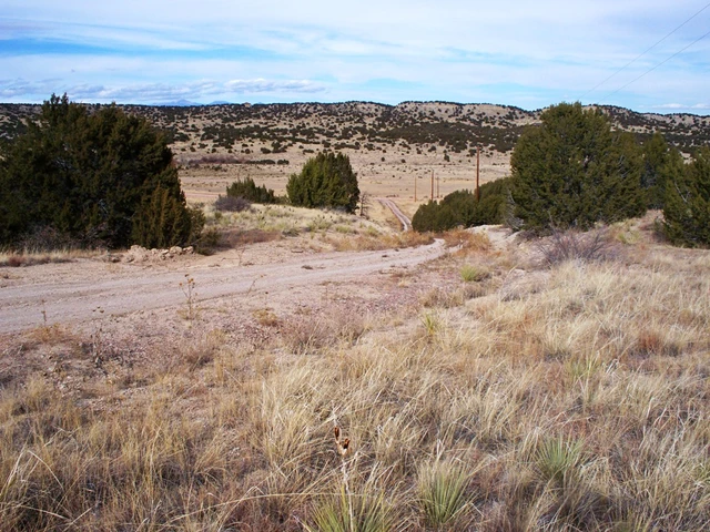 Nearby Listing Image