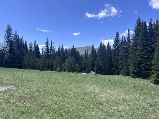 Nearby Listing Image