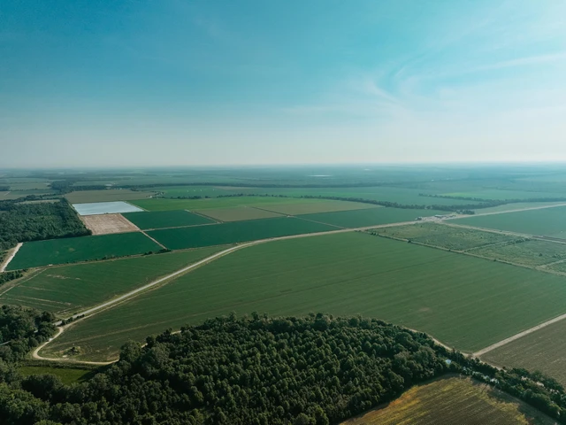 Nearby Listing Image