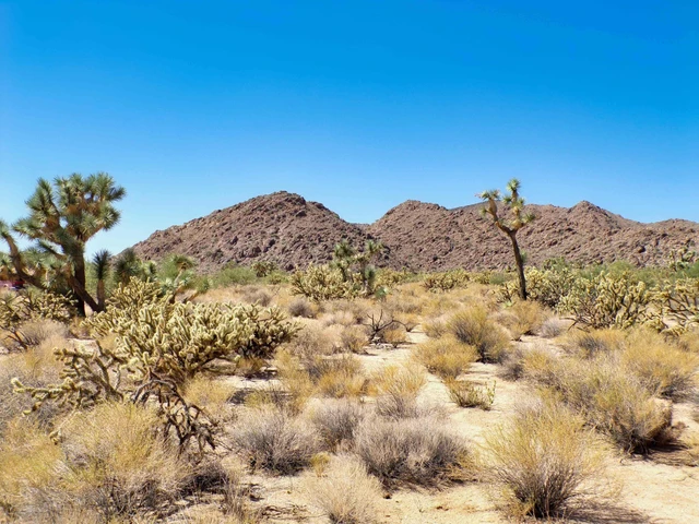Nearby Listing Image