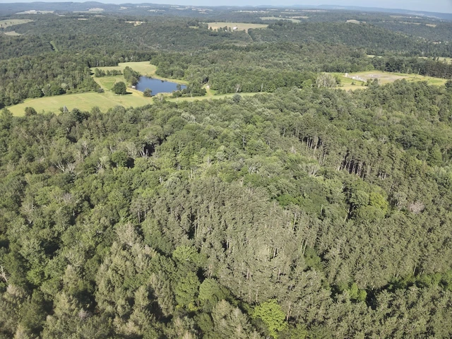 Nearby Listing Image