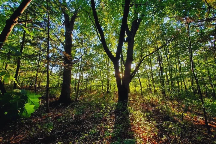 Nearby Listing Image