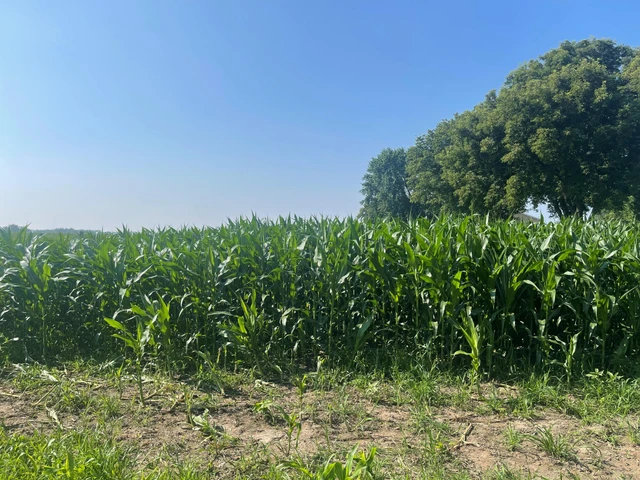 Nearby Listing Image
