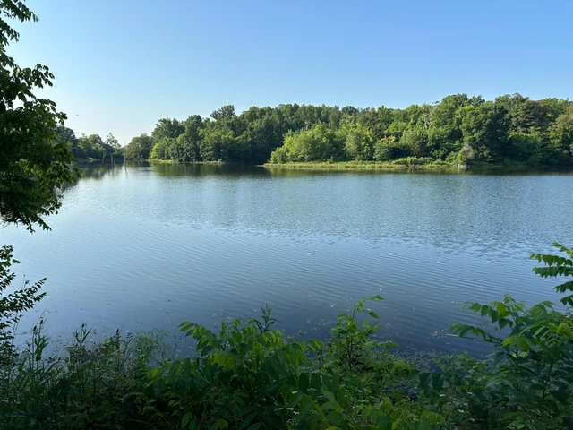 Nearby Listing Image