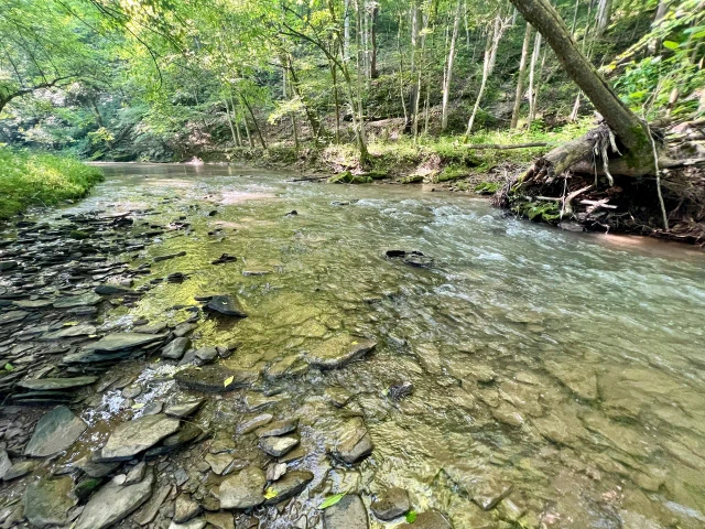 Nearby Listing Image