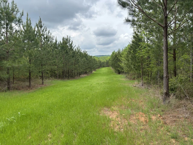 Nearby Listing Image