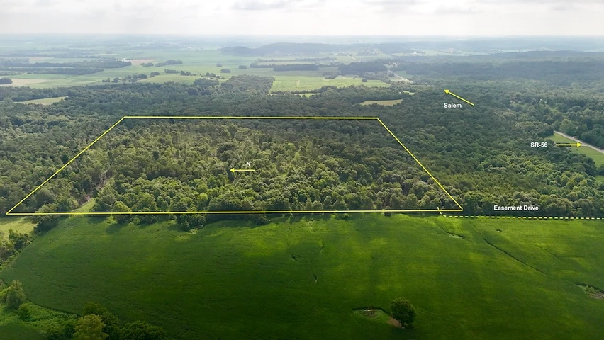Nearby Listing Image