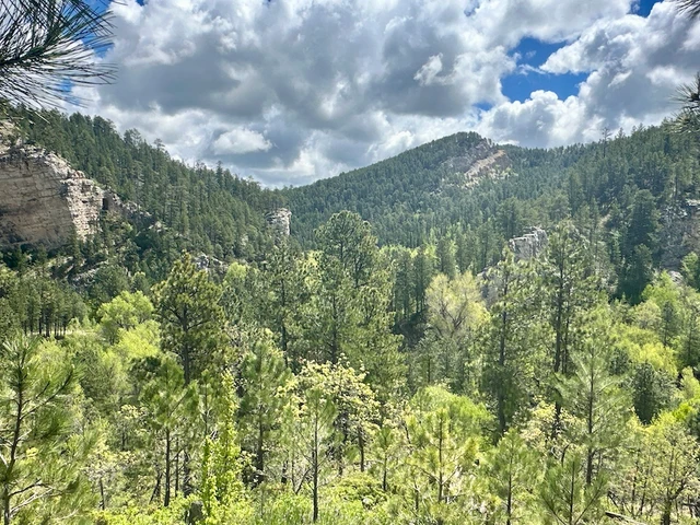 Nearby Listing Image