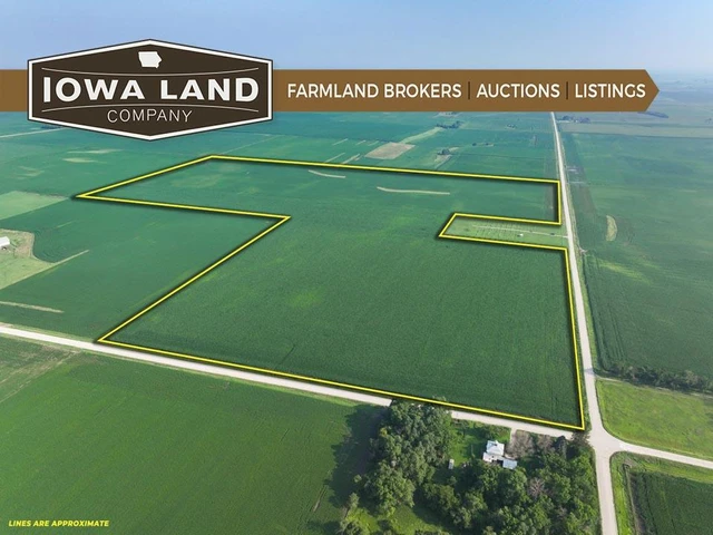 Nearby Listing Image
