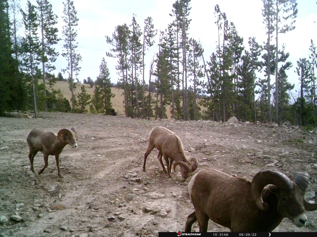 Nearby Listing Image