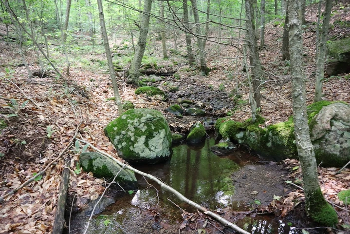 Nearby Listing Image