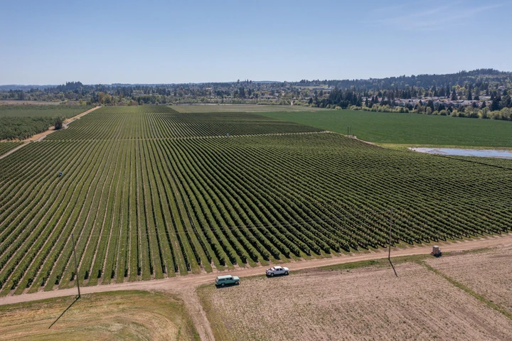 Nearby Listing Image