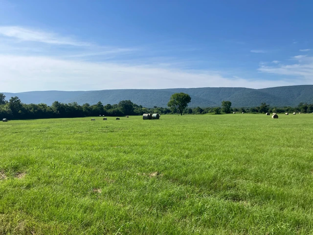 Nearby Listing Image