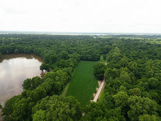 Nearby Listing Image