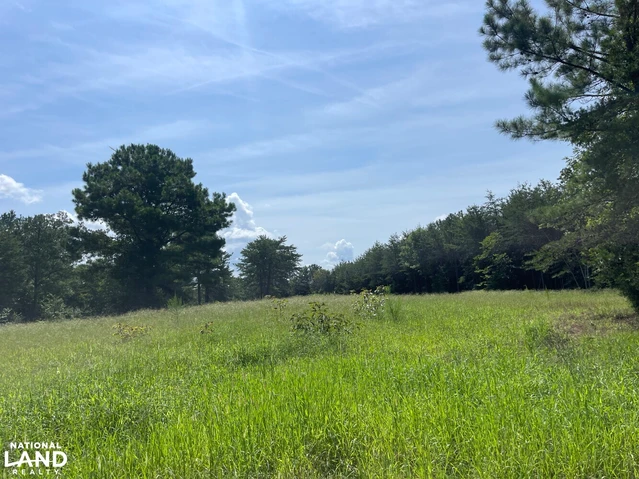 Nearby Listing Image