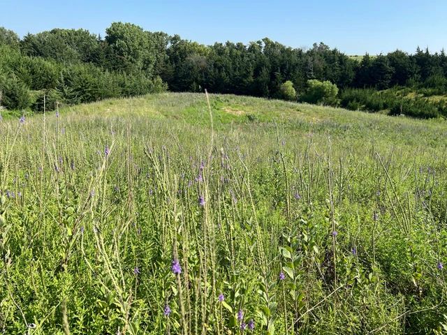 Nearby Listing Image