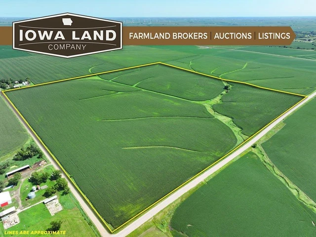 Nearby Listing Image