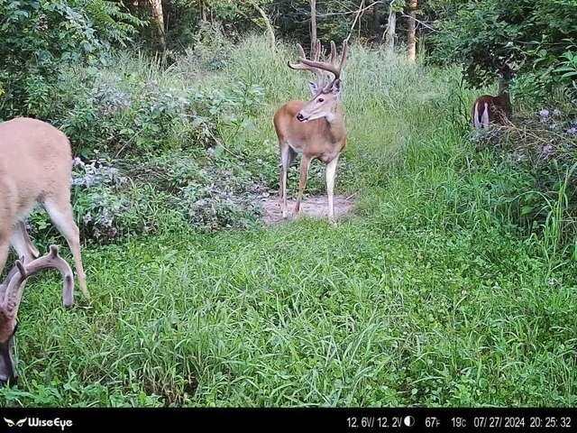 Nearby Listing Image