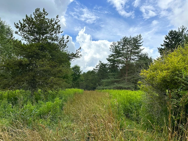 Nearby Listing Image