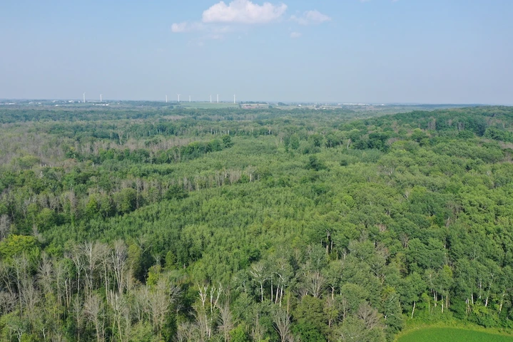 Nearby Listing Image