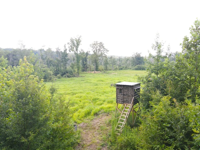 Nearby Listing Image