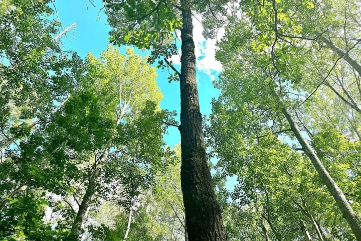 Nearby Listing Image