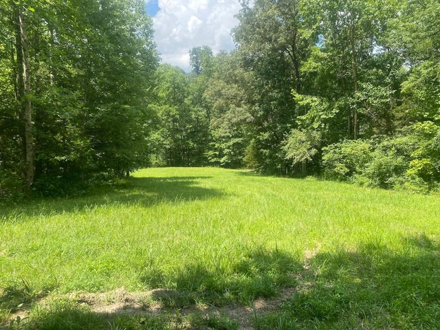 Nearby Listing Image
